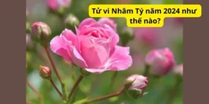 Tử vi Nhâm Tý năm 2024 như thế nào?