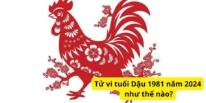 Tử vi tuổi Dậu 1981 năm 2024 như thế nào?