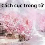 Cách cục trong tử vi là gì?