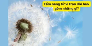 Cẩm nang tử vi trọn đời bao gồm những gì?