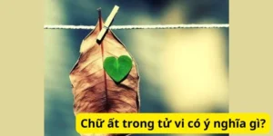 Chữ ất trong tử vi có ý nghĩa gì?