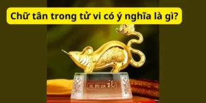 Chữ tân trong tử vi có ý nghĩa là gì?