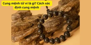 Cung mệnh tử vi là gì? Cách xác định cung mệnh