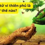 Lá số mệnh tử vi thiên phủ là như thế nào?