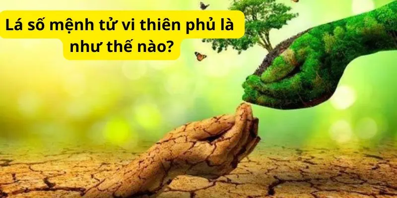 Lá số mệnh tử vi thiên phủ là như thế nào?