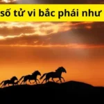 Lá số tử vi bắc phái như thế nào?