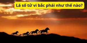 Lá số tử vi bắc phái như thế nào?