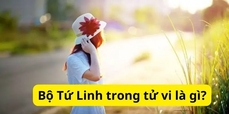 Bộ Tứ Linh trong tử vi là gì?