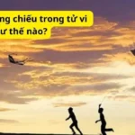 Các cung xung chiếu trong tử vi như thế nào?