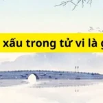 Các sao xấu trong tử vi là gì?