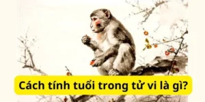 Cách tính tuổi trong tử vi là gì?