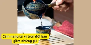 Cẩm nang tử vi trọn đời bao gồm những gì?