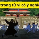 Chữ tân trong tử vi có ý nghĩa là gì?