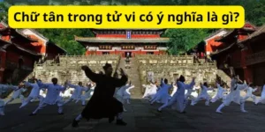 Chữ tân trong tử vi có ý nghĩa là gì?