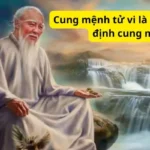 Cung mệnh tử vi là gì? Cách xác định cung mệnh