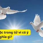 Cung quan lộc trong tử vi có ý nghĩa gì?