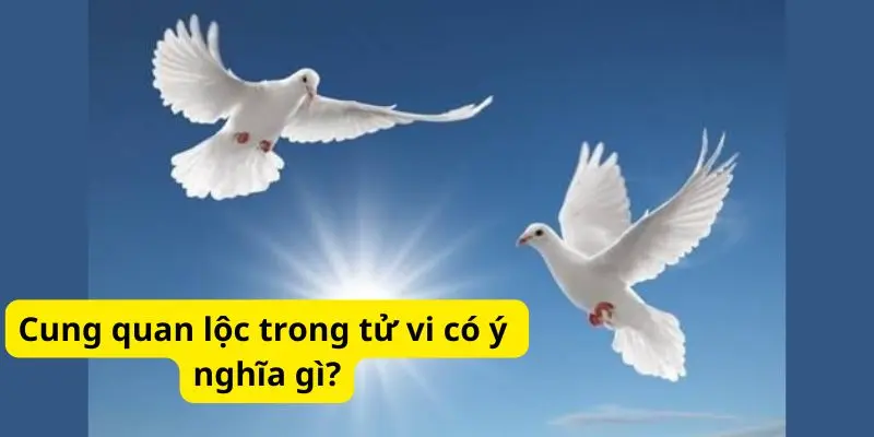 Cung quan lộc trong tử vi có ý nghĩa gì?