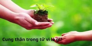 Cung thân trong tử vi là gì?