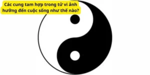 Các cung tam hợp trong tử vi ảnh hưởng đến cuộc sống như thế nào?