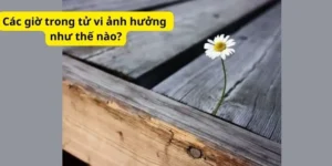 Các giờ trong tử vi ảnh hưởng như thế nào?